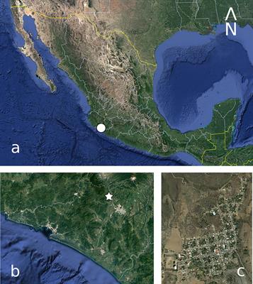 Biocultural salient birds: which biological and cultural factors define them?